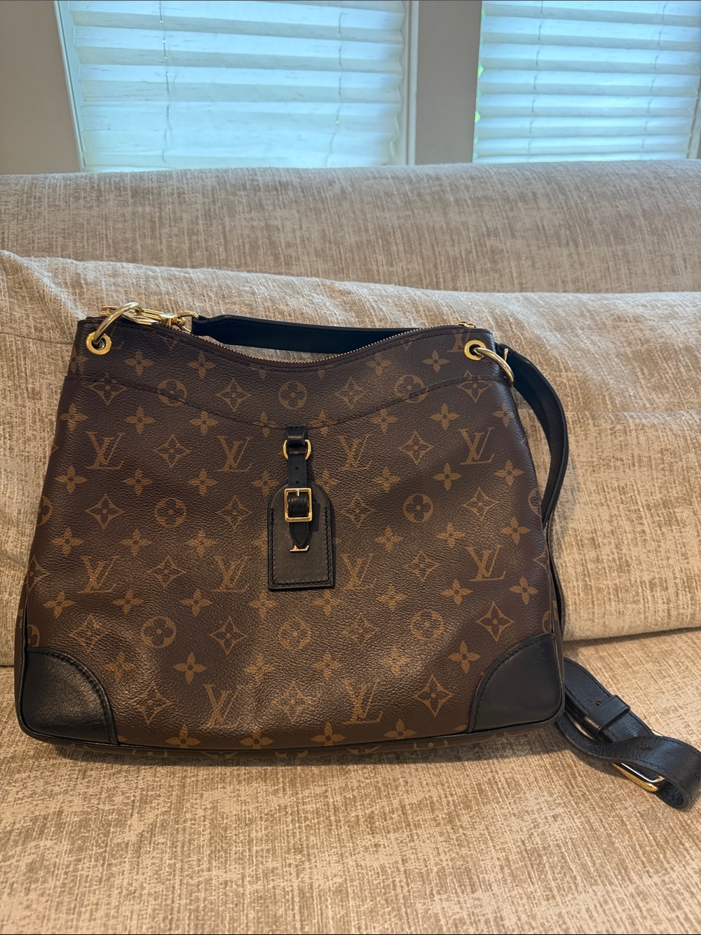 Louis Vuitton monogram Odeon nm crossbody bag